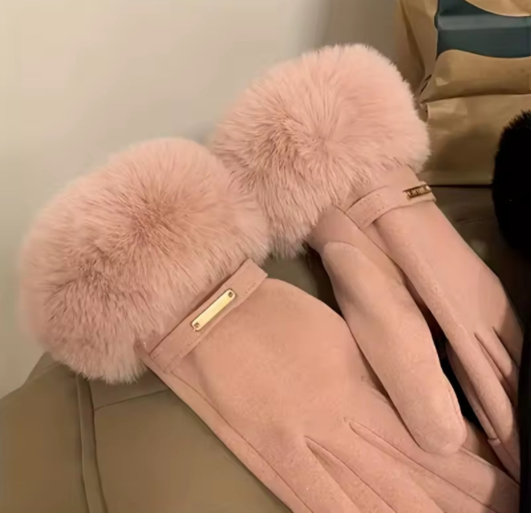 Gloves Winter / Guantes para invierno