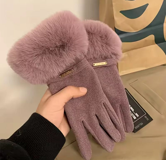 Gloves Winter / Guantes para invierno