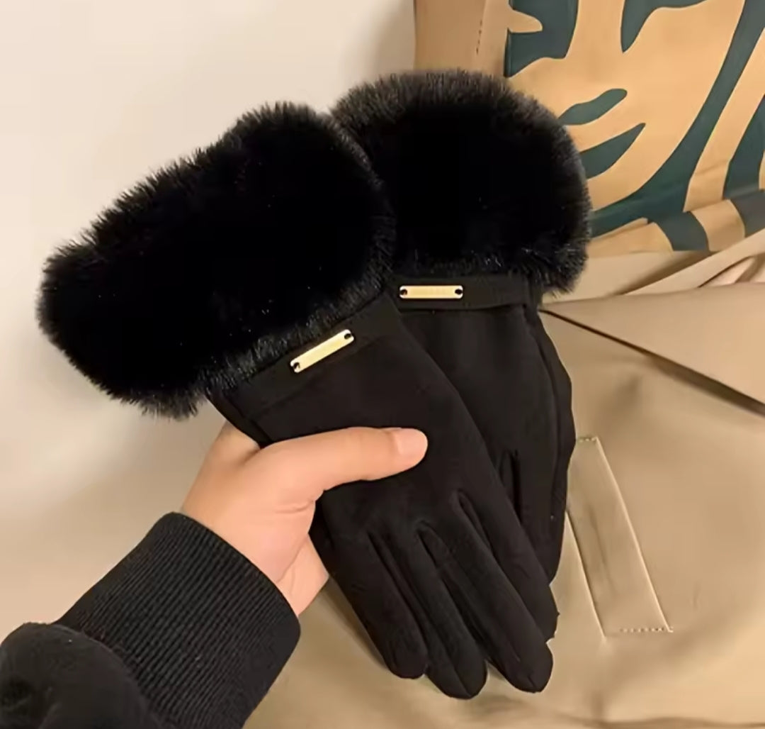 Gloves Winter / Guantes para invierno